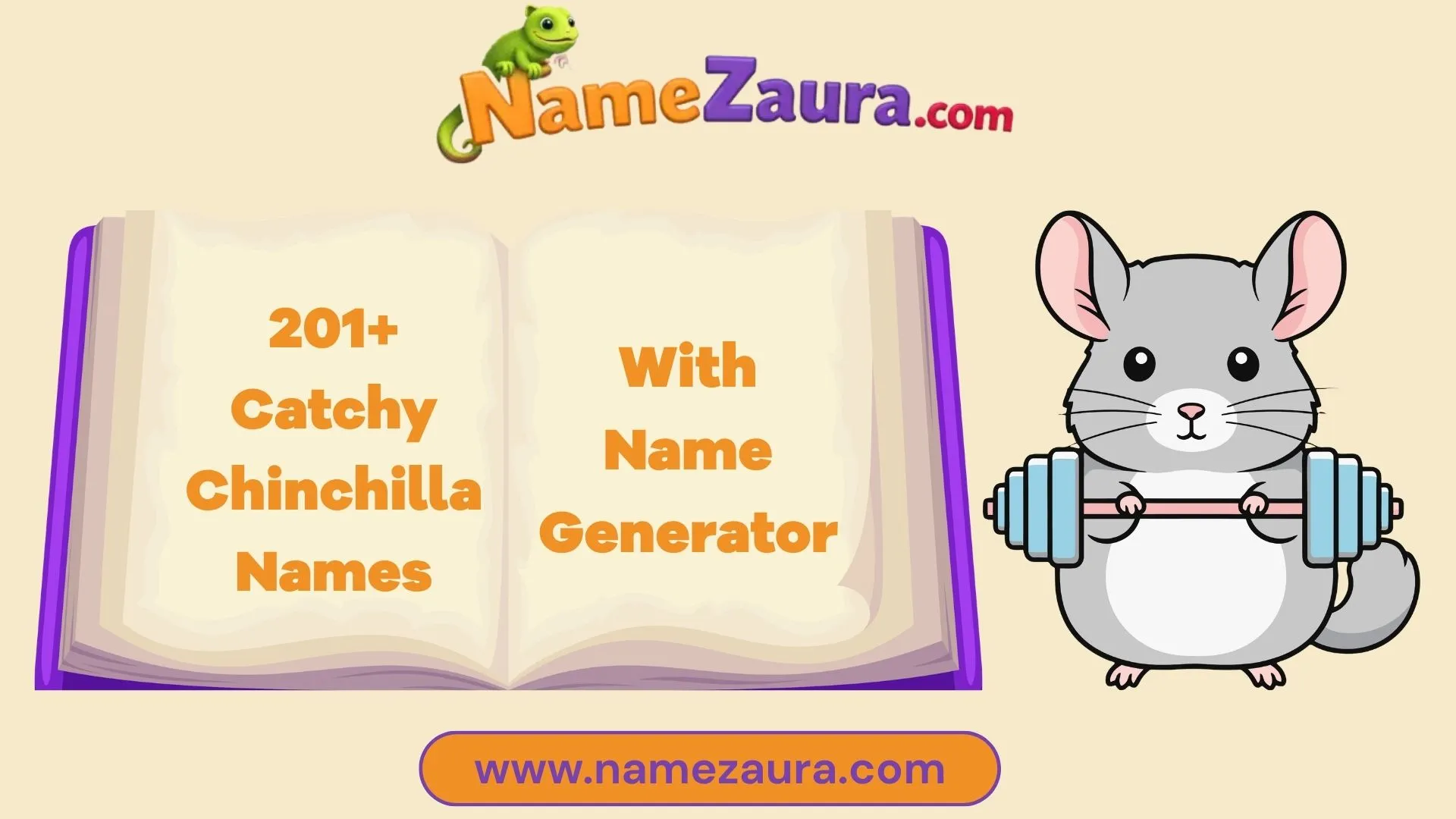 Catchy Chinchilla Names With Name Generator You’ll Love