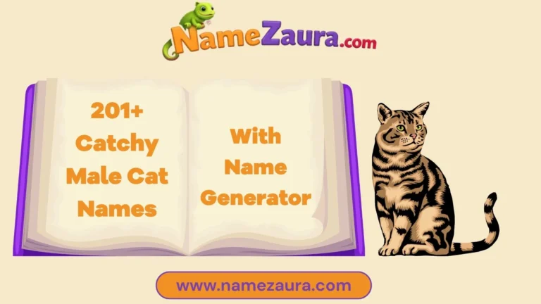 Catchy Male Cat Names With Name Generator